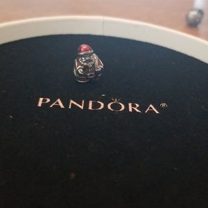 Pandora charm